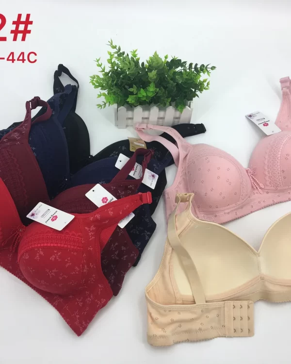 Wholesale Plus Size bra C cup model 222 from factory 197 - China lingerie manufacturer & supplier