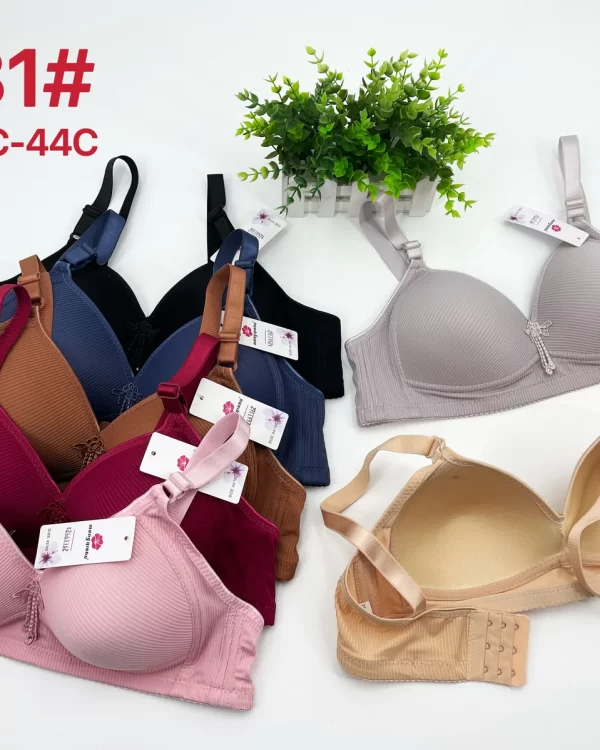 Wholesale Plus Size Bra C Cup (2281) - China lingerie manufacturer & supplier