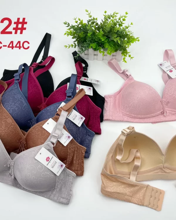 Wholesale Plus Size Lace Trim Bra C Cup (2282) - China lingerie manufacturer & supplier