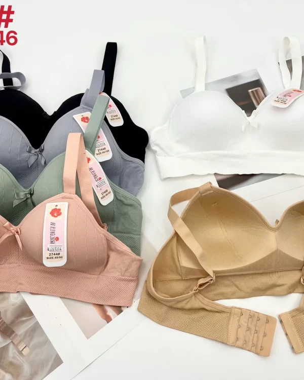 Wholesale Plus Size bra C cup model 2744 from factory 320 - China lingerie manufacturer & supplier