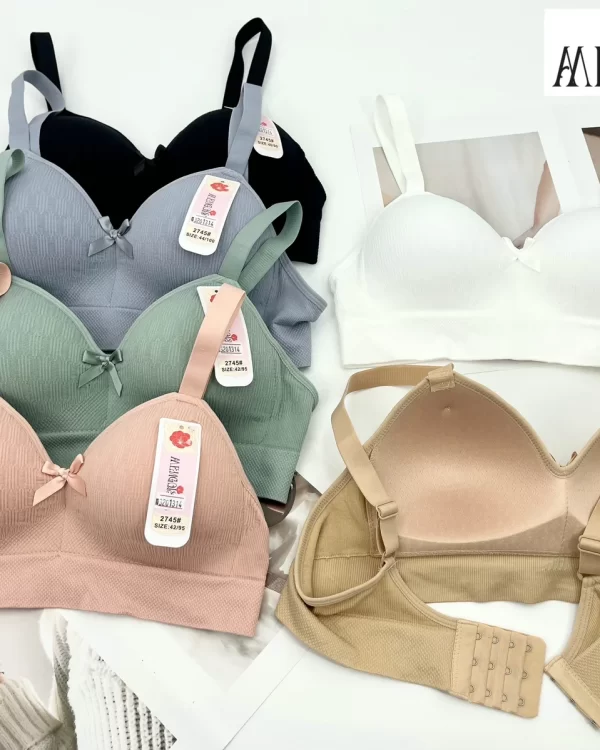 Wholesale Plus Size Molded Cup Bra C Cup (2745) - China lingerie manufacturer & supplier