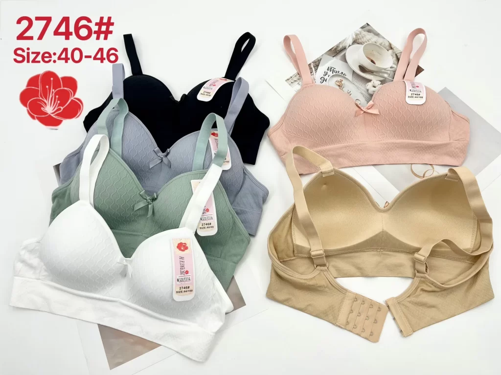 Wholesale Plus Size Seamless Bra C Cup (2746) - China lingerie manufacturer & supplier