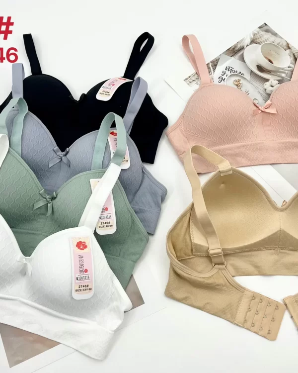 Wholesale Plus Size Seamless Bra C Cup (2746) - China lingerie manufacturer & supplier