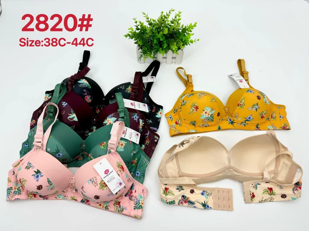 Wholesale Plus Size Bra C Cup (2820) - China lingerie manufacturer & supplier