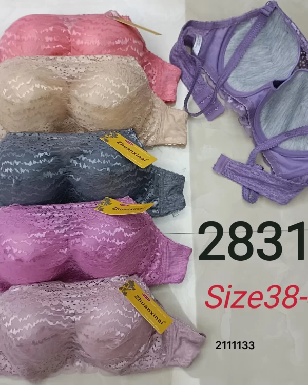 Wholesale Plus Size Bandeau Bra C Cup (2831) - China lingerie manufacturer & supplier