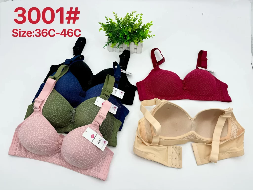 Wholesale Plus Size Bra C Cup (3001) - China lingerie manufacturer & supplier