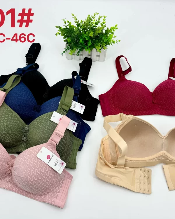 Wholesale Plus Size Bra C Cup (3001) - China lingerie manufacturer & supplier