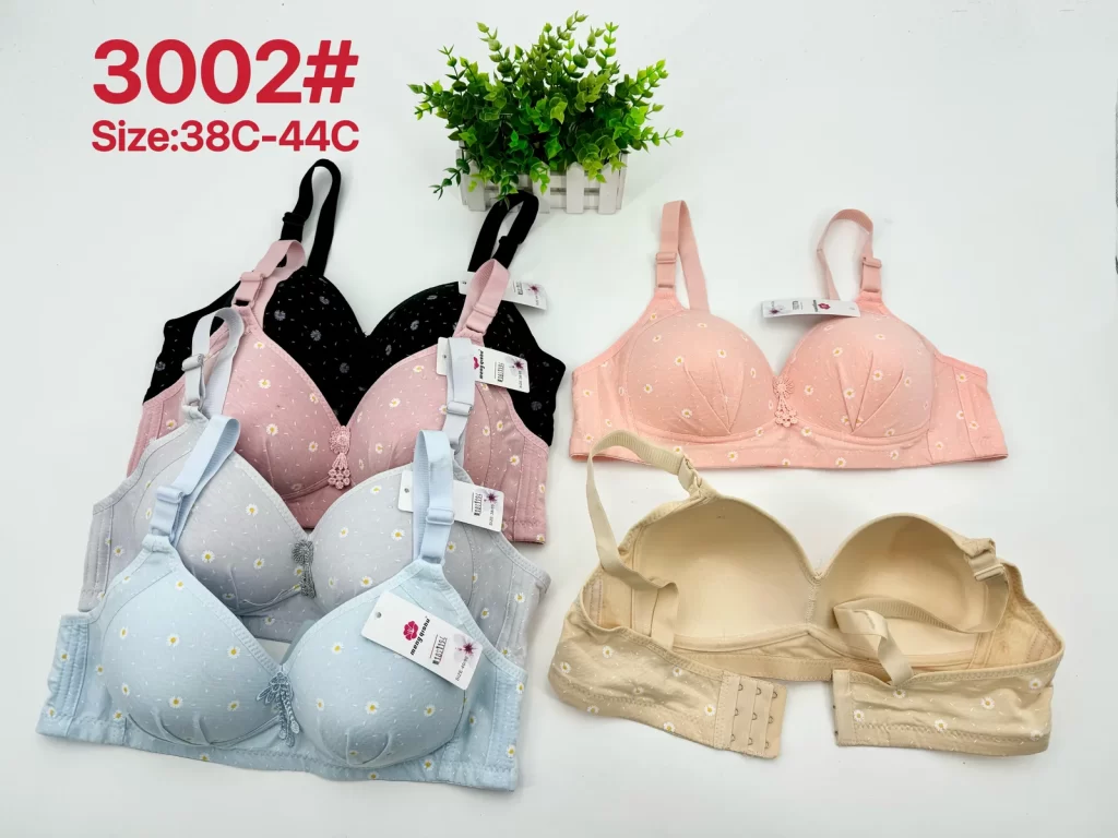 Wholesale Plus Size Bra C Cup (3002) - China lingerie manufacturer & supplier