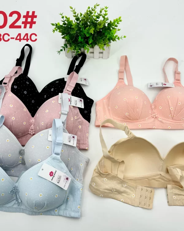 Wholesale Plus Size Bra C Cup (3002) - China lingerie manufacturer & supplier