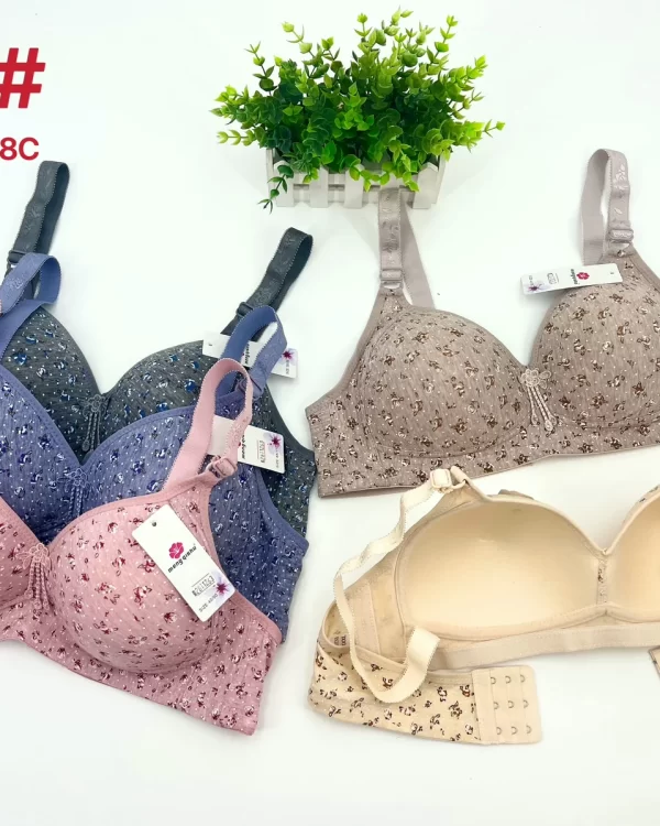 Wholesale Plus Size Bra C Cup (303) - China lingerie manufacturer & supplier