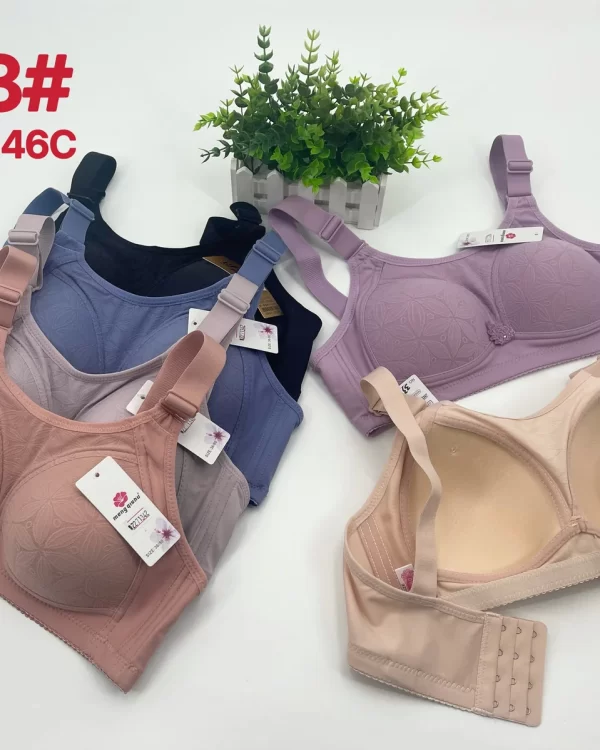 Wholesale Plus Size bra C cup model 3333 from factory 227 - China lingerie manufacturer & supplier