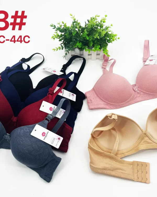 Wholesale Plus Size Jacquard Bra C Cup (513) - China lingerie manufacturer & supplier