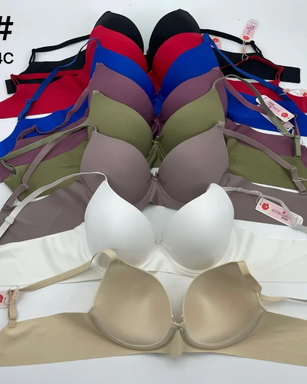 Wholesale Plus Size Bra C Cup (5501) - China lingerie manufacturer & supplier