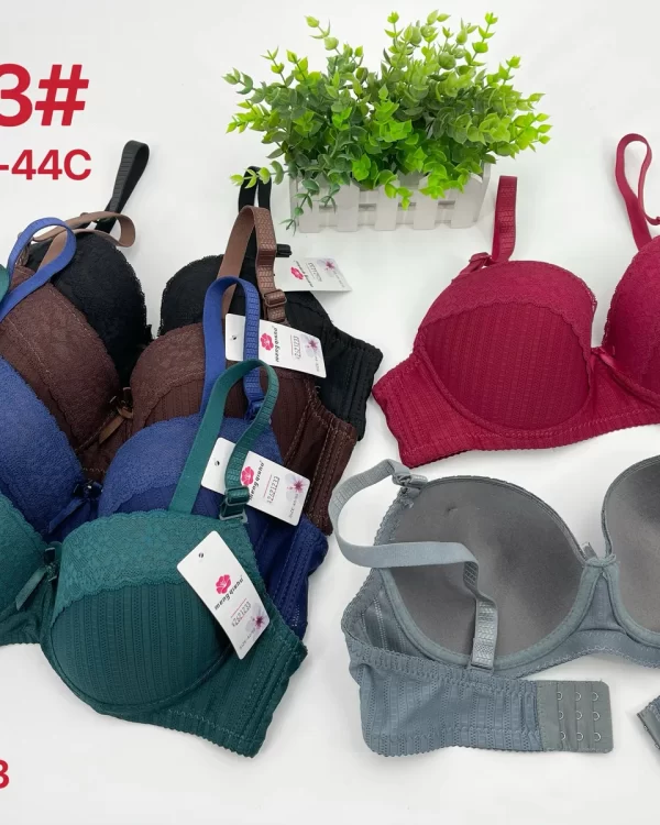 Wholesale Plus Size Lace Trim Bra C Cup (5533) - China lingerie manufacturer & supplier