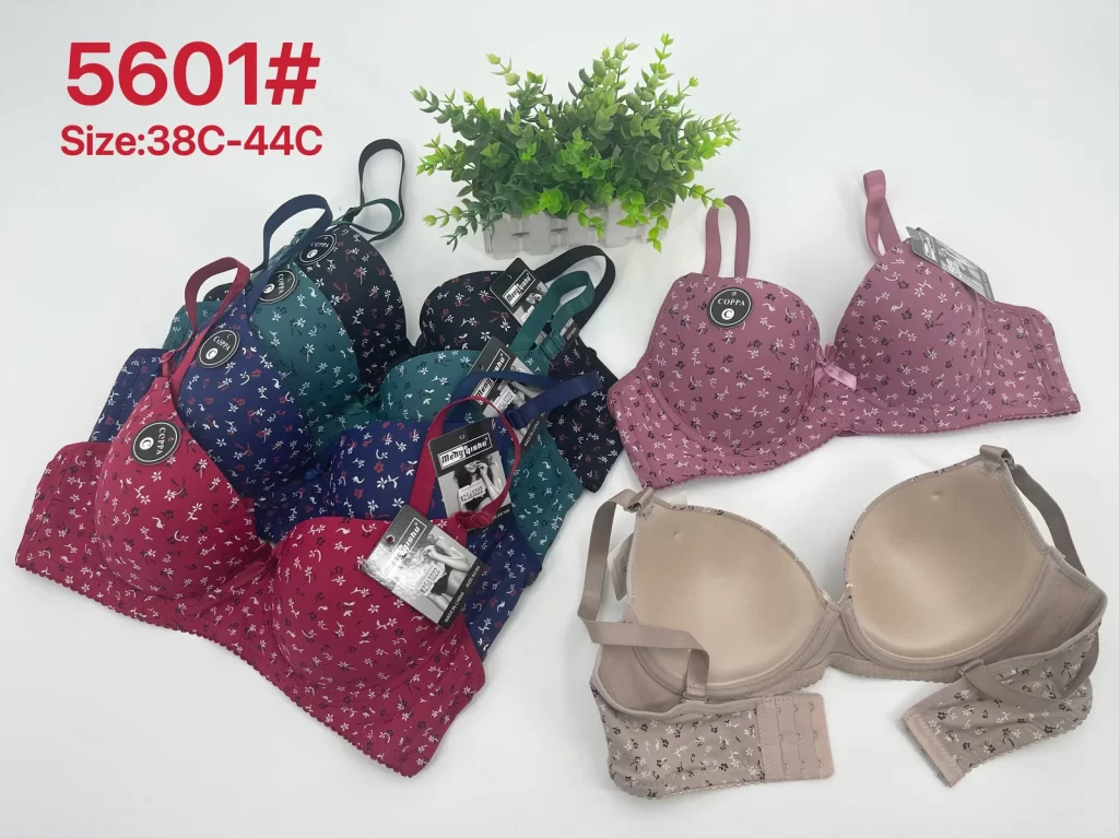Wholesale Plus Size Bra C Cup (5601) - China lingerie manufacturer & supplier