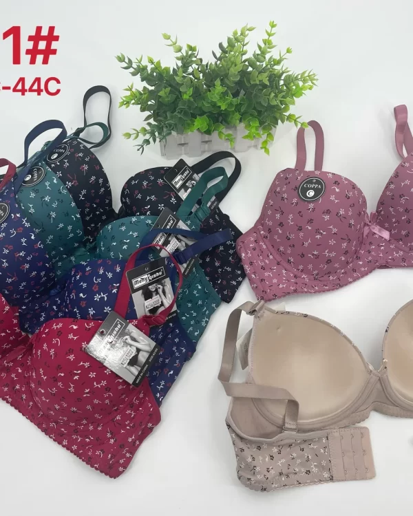Wholesale Plus Size Bra C Cup (5601) - China lingerie manufacturer & supplier