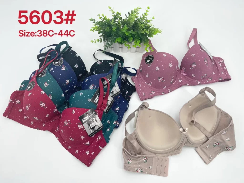 Wholesale Plus Size Bra C Cup (5603) - China lingerie manufacturer & supplier
