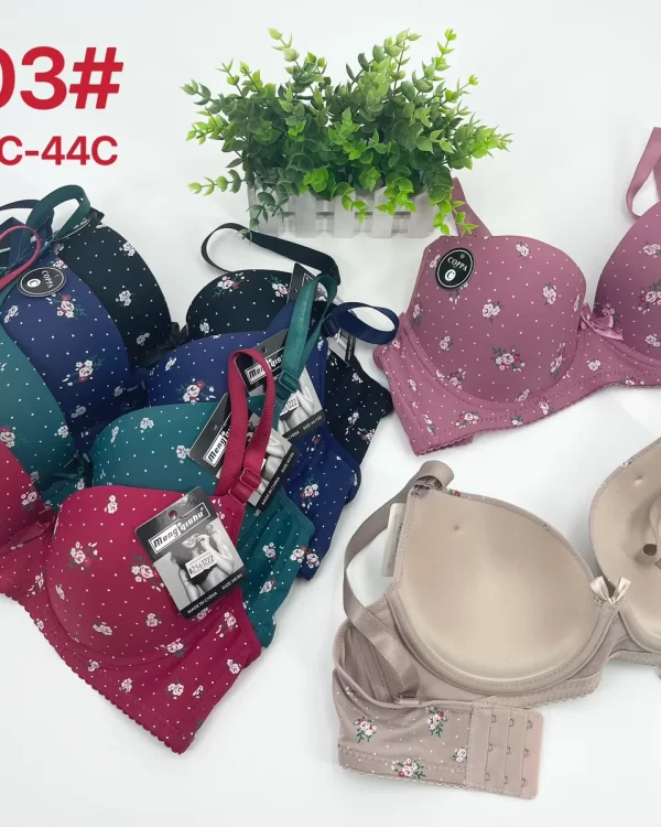 Wholesale Plus Size Bra C Cup (5603) - China lingerie manufacturer & supplier