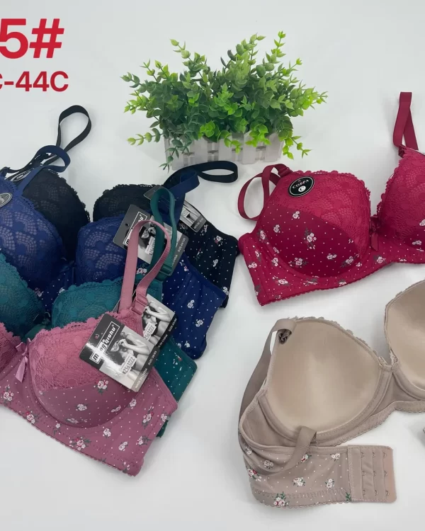 Wholesale Plus Size Lace Trim Bra C Cup (5605) - China lingerie manufacturer & supplier