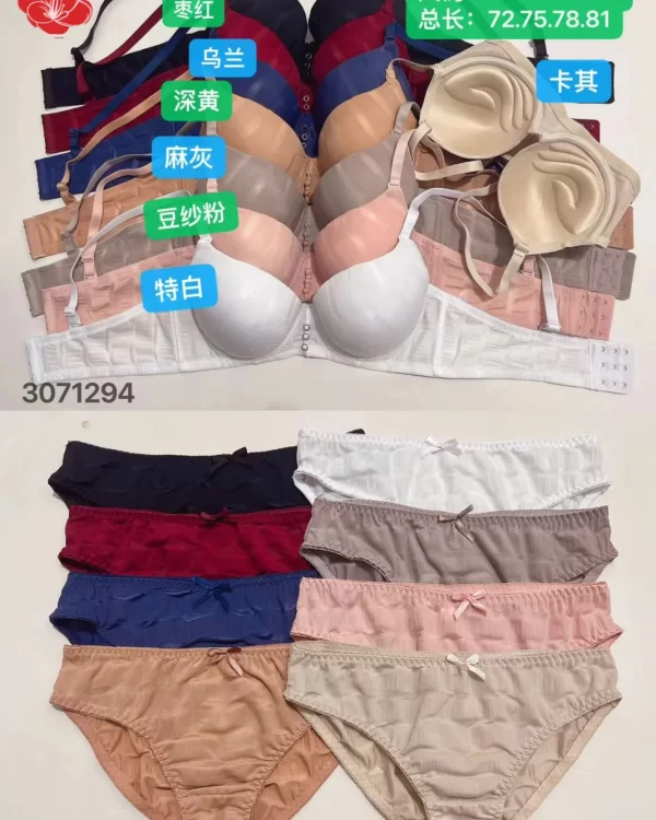 Wholesale Plus Size bra C cup model 6023C from factory 307 - China lingerie manufacturer & supplier