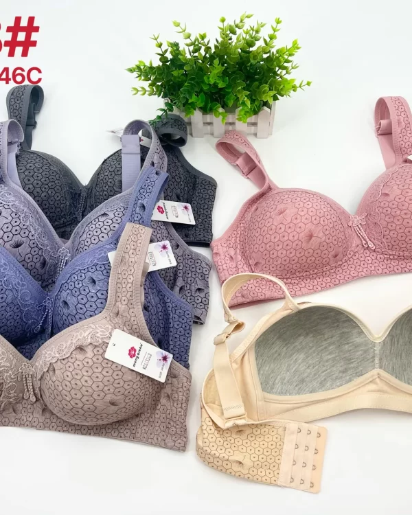 Wholesale Plus Size Lace Trim Bra C Cup (658) - China lingerie manufacturer & supplier