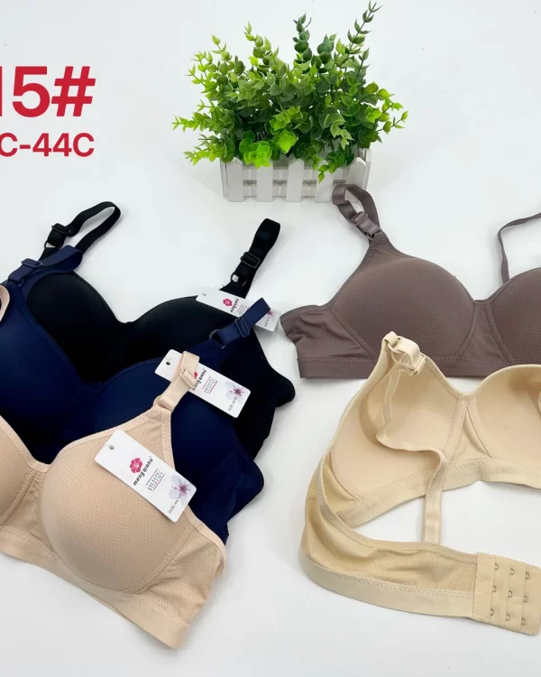 Wholesale Plus Size Bra C Cup (6615) - China lingerie manufacturer & supplier