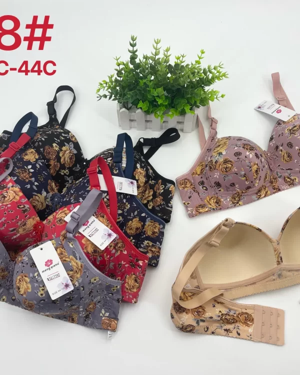 Wholesale Plus Size Bra C Cup (668) - China lingerie manufacturer & supplier