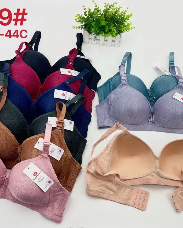 Wholesale Plus Size Bra C Cup (6689) - China lingerie manufacturer & supplier
