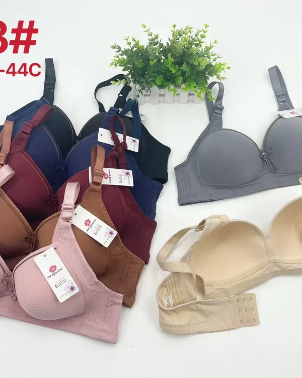 Wholesale Plus Size Bra C Cup (763) - China lingerie manufacturer & supplier