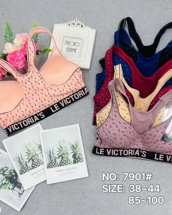 Wholesale Plus Size Sports Bra C Cup (7901) - China lingerie manufacturer & supplier