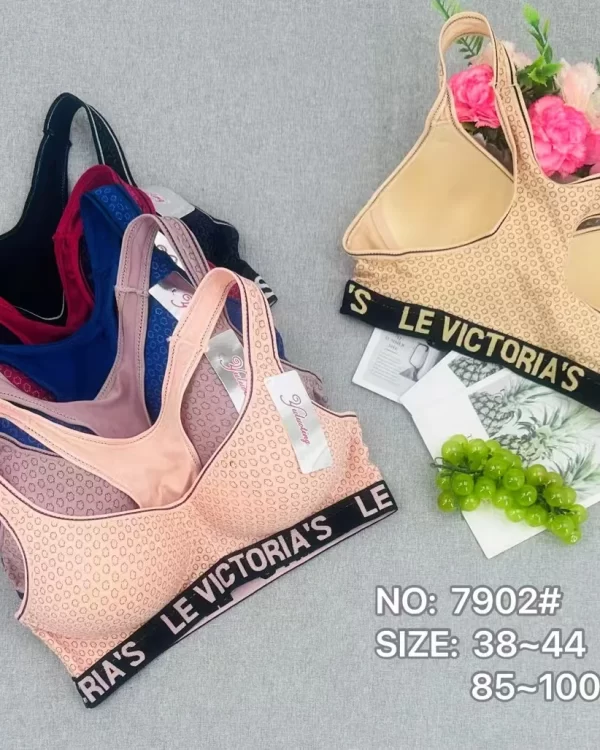Wholesale Plus Size Sports Bra C Cup (7902) - China lingerie manufacturer & supplier