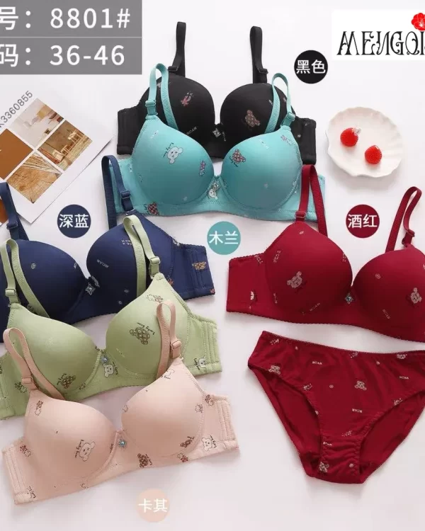Wholesale Plus Size Bra Set C Cup (8801) - China lingerie manufacturer & supplier