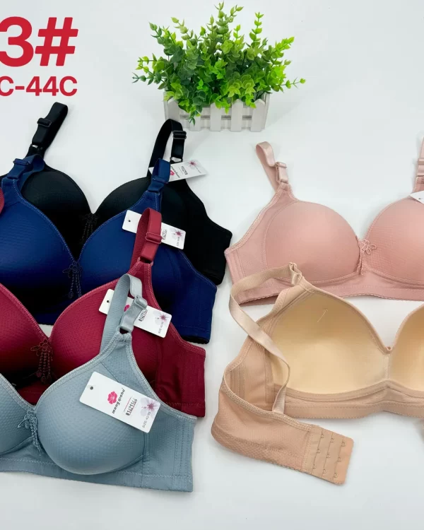 Wholesale Plus Size Bra C Cup (883) - China lingerie manufacturer & supplier