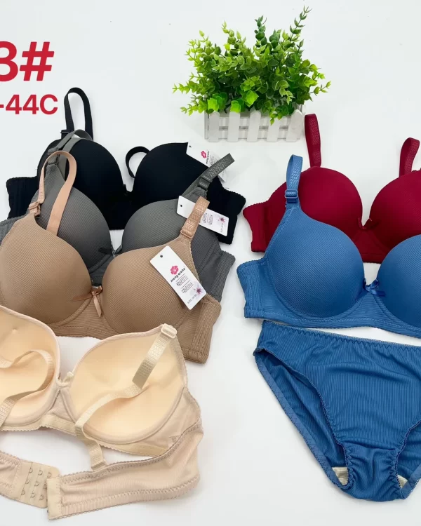 Wholesale Plus Size Bra Set C Cup (8893) - China lingerie manufacturer & supplier