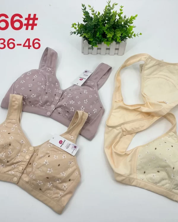 Wholesale Plus Size Bra C Cup (9966) - China lingerie manufacturer & supplier