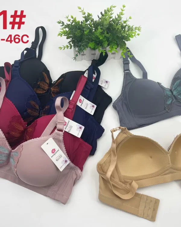 Wholesale Plus Size Bra C Cup (A111) - China lingerie manufacturer & supplier