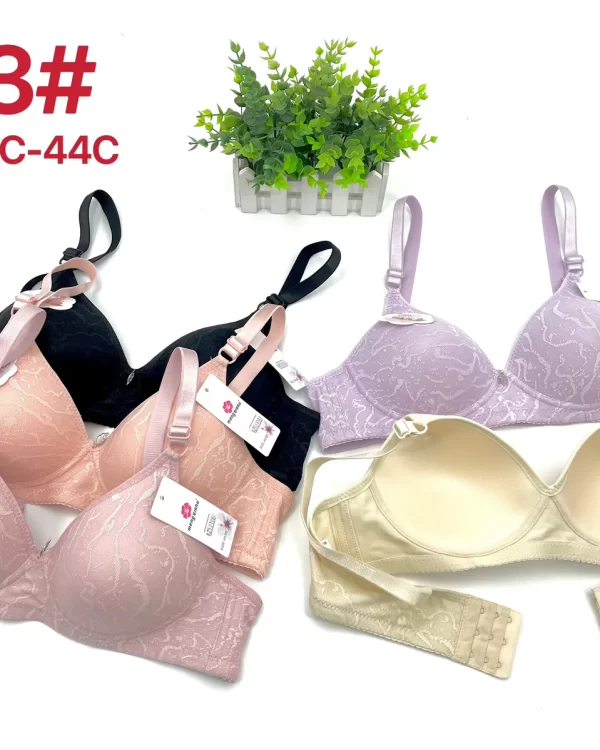 Wholesale Plus Size Lace Trim Bra C Cup (A13) - China lingerie manufacturer & supplier