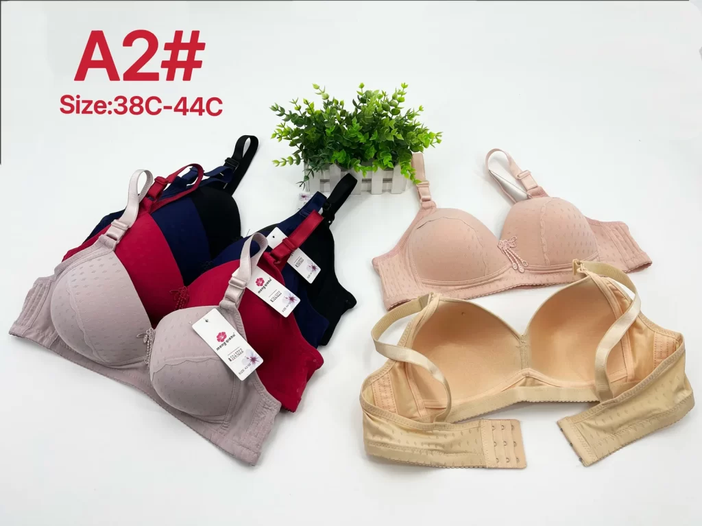 Wholesale Plus Size Bra C Cup (A2) - China lingerie manufacturer & supplier