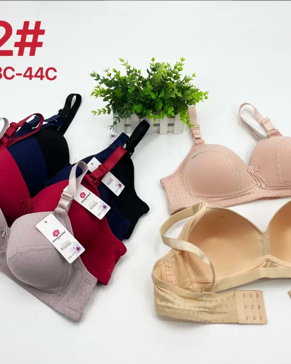 Wholesale Plus Size Bra C Cup (A2) - China lingerie manufacturer & supplier