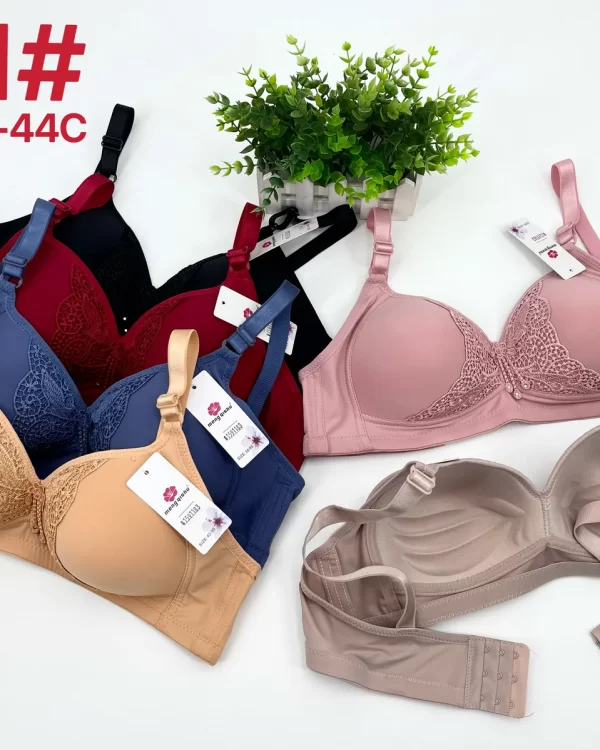 Wholesale Plus Size Lace Trim Bra C Cup (B01) - China lingerie manufacturer & supplier