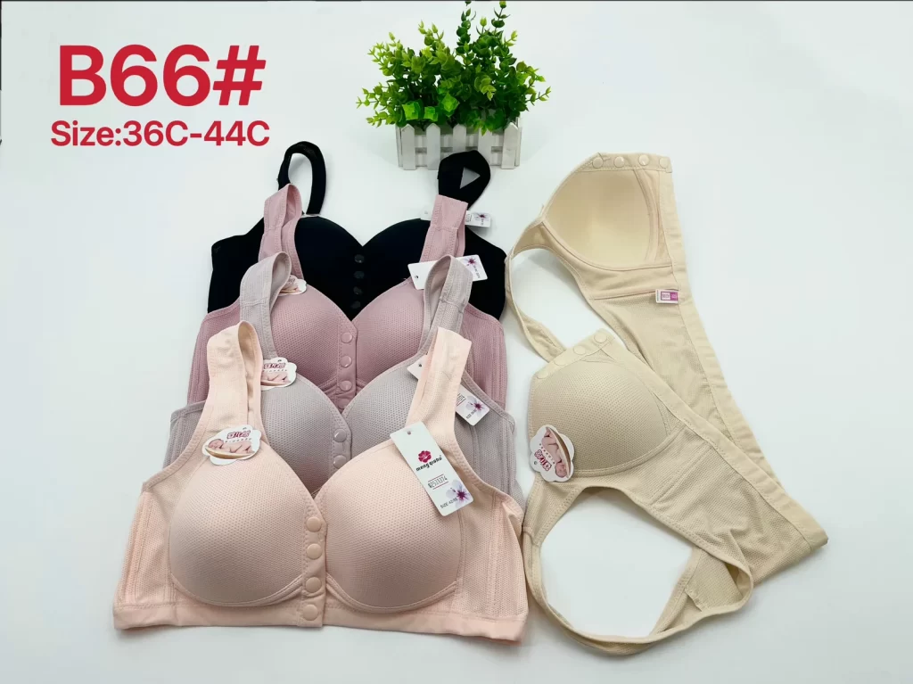 Wholesale Plus Size Bra C Cup (B66) - China lingerie manufacturer & supplier