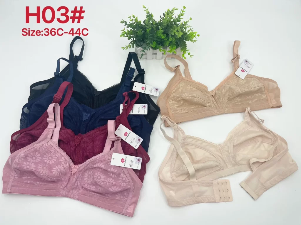 Wholesale Plus Size Lace Trim Bra C Cup (H03) - China lingerie manufacturer & supplier