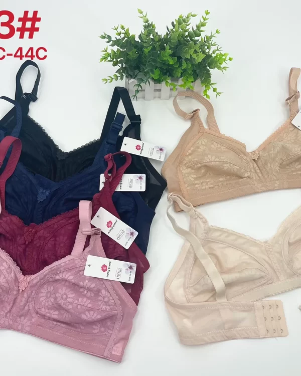 Wholesale Plus Size Lace Trim Bra C Cup (H03) - China lingerie manufacturer & supplier