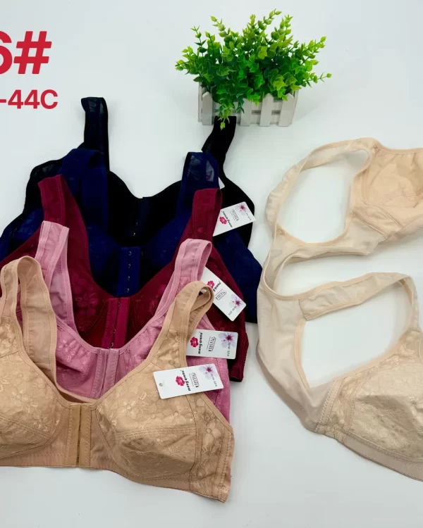 Wholesale Plus Size Bra C Cup (H06) - China lingerie manufacturer & supplier