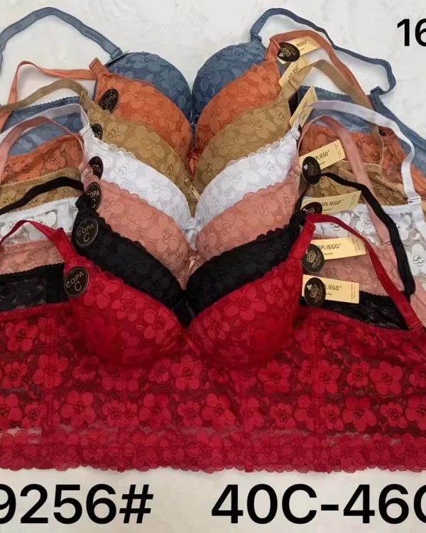 Wholesale Plus Size Lace Trim Bra C Cup (K9256) - China lingerie manufacturer & supplier