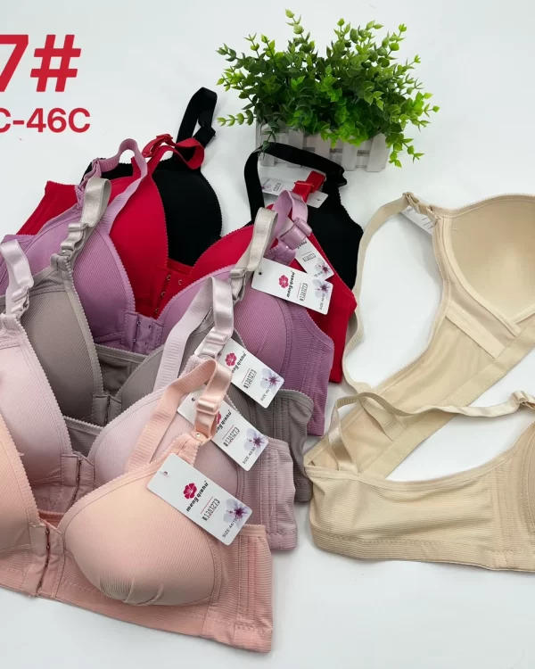 Wholesale Plus Size Bra C Cup (N97) - China lingerie manufacturer & supplier