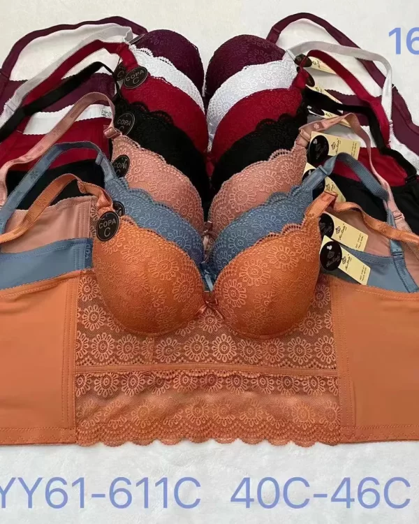 Wholesale Plus Size bra C cup model YY61-611C from factory 163 - China lingerie manufacturer & supplier
