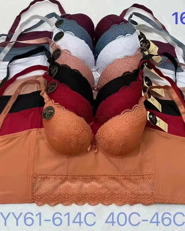 Wholesale Plus Size Bra C Cup (YY61-614C) - China lingerie manufacturer & supplier