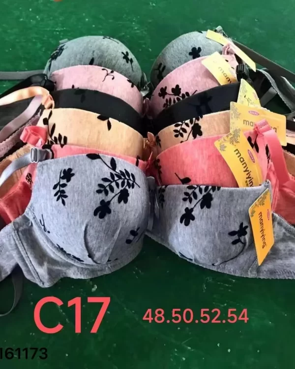 Wholesale Plus Size Floral Print Bra (C17) - China lingerie manufacturer & supplier