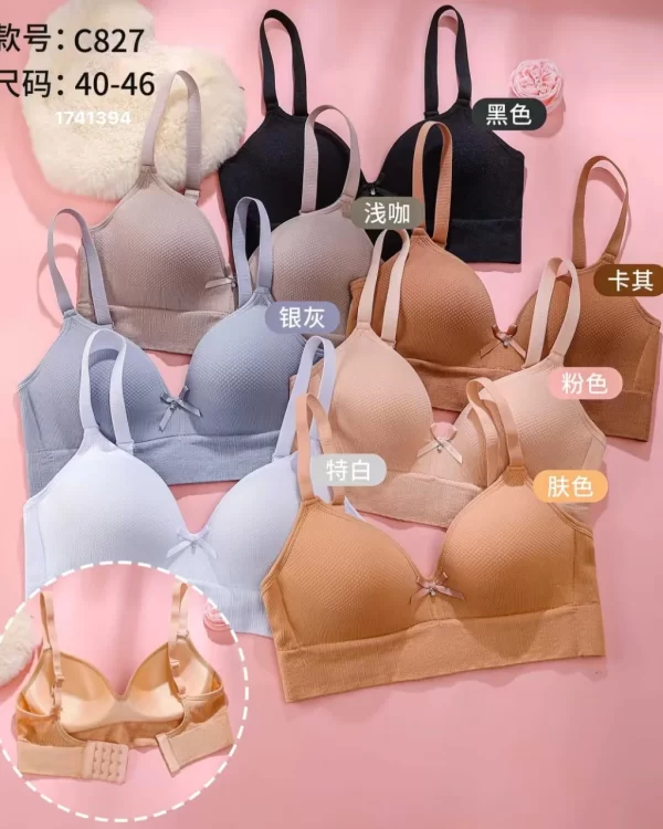 Wholesale Plus Size Bra (C827) - China lingerie manufacturer & supplier